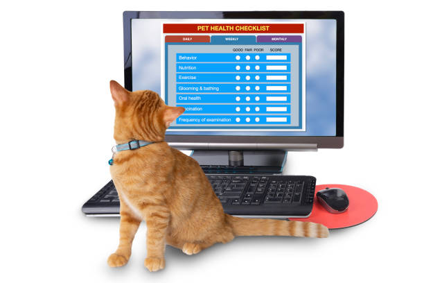 طراحی سایت پزشکی برای بیمارستانهای دامپزشکی در کرج 2026 - مراقبت از سلامت حیوانات خانگی