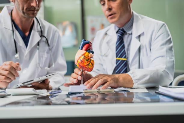 طراحی UX بیمارمحور و نوبتدهی آنلاین برای فوق تخصص قلب و عروق در تهران: ارتقای برندینگ دیجیتال پزشکی ۲۰۲۶ - بازاریابی دیجیتال پزشکی و متخصص قلب و عروق