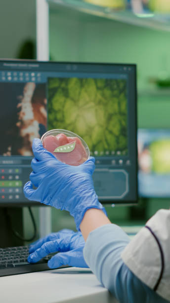 تحلیل نمونهها در آزمایشگاه پاتوبیولوژی تبریز با بهرهگیری از نرمافزار پاتوبیولوژی