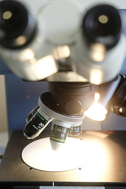 توسعه وبسایت سلامت و آموزش سئو برای آزمایشگاههای تشخیص طبی در مشهد: ارتقای دیده شدن و جذب بیماران ۲۰۲۶ - افزایش دیده شدن آزمایشگاه