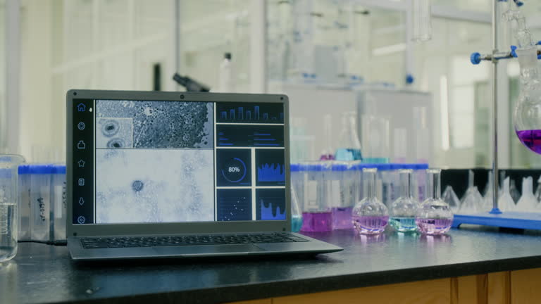 توسعه وبسایت سلامت در یزد: بهینهسازی سئو و UX بیماران برای آزمایشگاههای تشخیص طبی - نتایج آزمایش روی صفحه لپتاپ