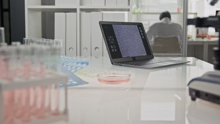 وردپرس پزشکی برای آزمایشگاه تشخیص طبی اهواز، پایداری وبسایت سلامت