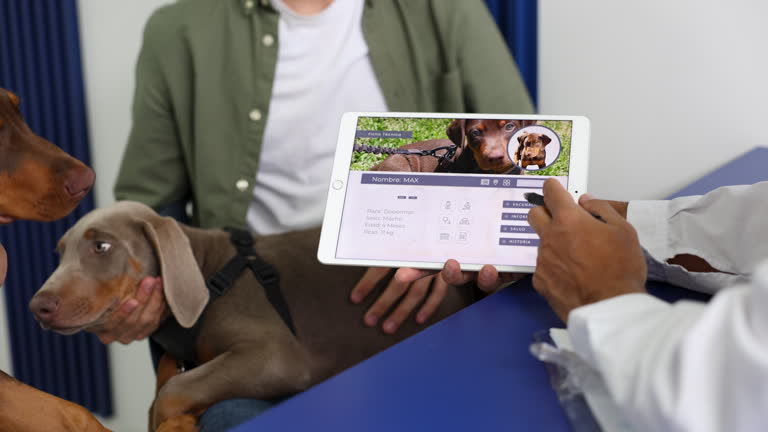 سئو تخصصی وبسایت سلامت و برندینگ دیجیتال برای بیمارستانهای دامپزشکی در کرمانشاه: جذب هدفمند مراجعهکنندگان 2026 - پرونده پزشکی دیجیتال