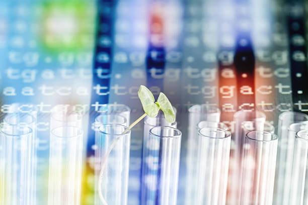 سئو تخصصی پزشکی و برندینگ دیجیتال برای مراکز ژنتیک پزشکی در تهران: افزایش دیده شدن و اعتمادسازی خانوادهها 2026 - سئو کلینیک ژنتیک