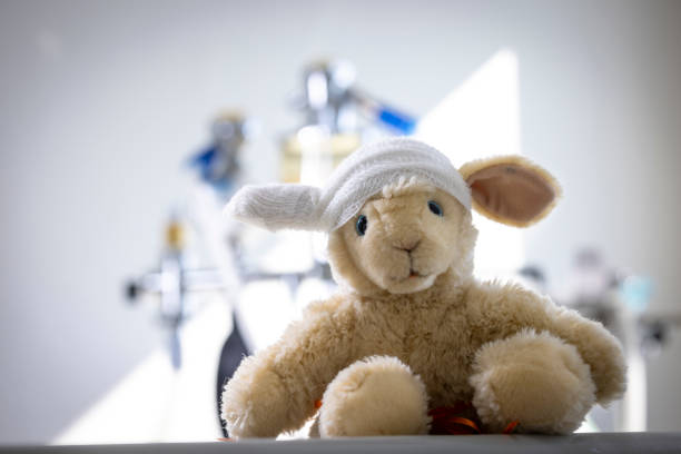 طراحی سایت پزشکی و CRM هوشمند برای بیمارستانهای فوق تخصصی کودکان در اهواز: بهینهسازی نوبتدهی آنلاین و تجربه بیمار - اسباب بازی خرگوش برای آرامش کودکان در محیط پزشکی