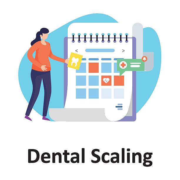 طراحی UX بیماران برای کلینیکهای تخصصی ایمپلنت دندان در مشهد: ارتقاء تجربه آنلاین و افزایش نوبتدهی با پرتال هوشمند 2026 - پرتال هوشمند دندانپزشکی