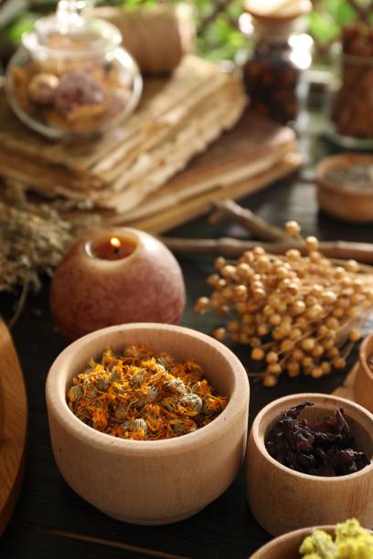 آموزش سئو برای پزشکان و توسعه وب برای کلینیکهای طب سنتی در کاشان: طب سنتی و جذب مراجعین پزشکی