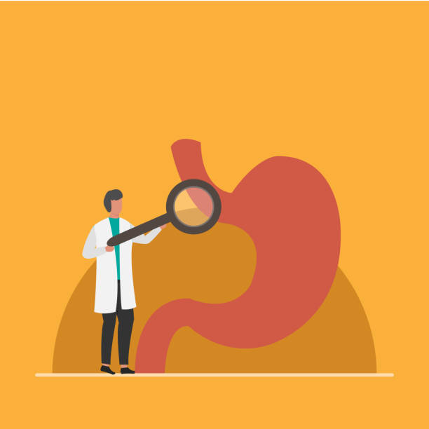 سئو متخصص گوارش و بهینهسازی وبسایت سلامت در گرگان