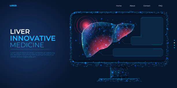 طراحی سایت پزشکی پیشرفته برای فوق تخصص کبد در تهران: مدل سه بعدی کبد انسان