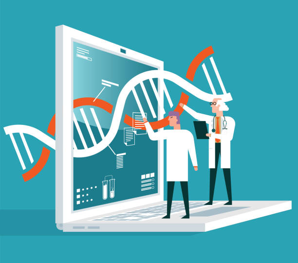 طراحی UX بیمارمحور و وبسایت سلامت اعتمادساز برای مراکز ژنتیک پزشکی در یزد - آنالیز DNA