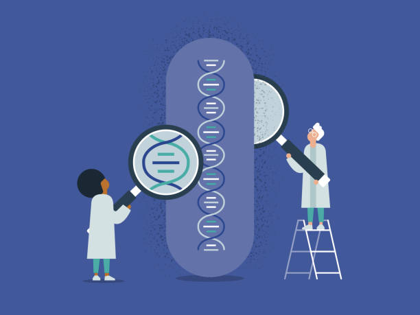 طراحی UX بیمارمحور برای مراکز مشاوره ژنتیک در شیراز: افزایش نوبتدهی آنلاین با برندینگ دیجیتال پزشکی 2026 - مشاوره ژنتیک، طراحی UX بیمارمحور