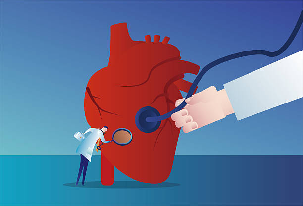 برندینگ دیجیتال پزشکی و مشاوره بازاریابی سلامت برای فوق تخصص قلب و عروق اینترونشنال در مشهد: استراتژی جذب بیماران ۲۰۲۶ و فوق تخصص قلب و عروق
