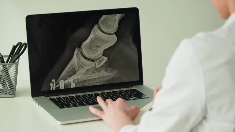 سئو تخصصی ارتوپدی و تحلیل داده برای افزایش نوبتدهی آنلاین