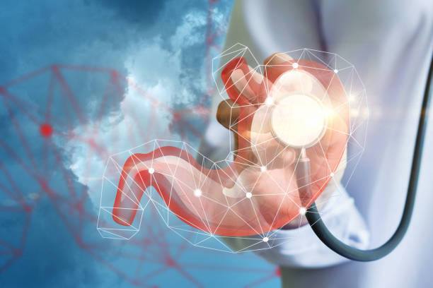 تصویر پزشک در حال گوش دادن به بیمار دارای مشکلات گوارشی - طراحی پرتال نوبتدهی آنلاین برای فوق تخصصین گوارش و کبد در تبریز، پرتال فوق تخصص گوارش