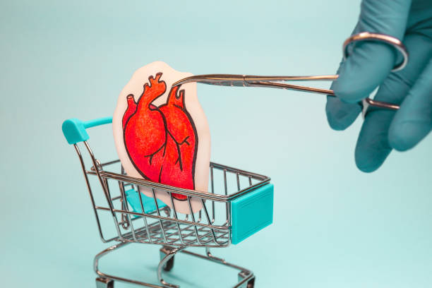 بازاریابی سلامت فوق تخصص قلب در شیراز با تمرکز بر جذب هوشمند بیماران