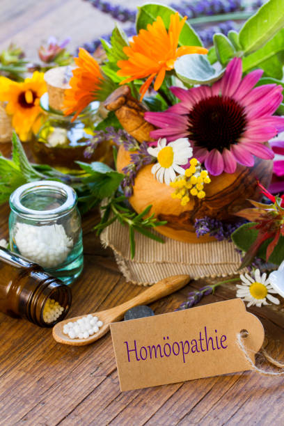 طبیعت و پزشکی، نمادی از کلینیکهای هومیوپاتی و رویکردهای درمانی طبیعی در طراحی سایت پزشکی