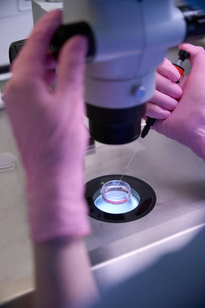 embryologist using a microscope to examine samples - طراحی سایت پزشکی، مراکز ناباروری IVF