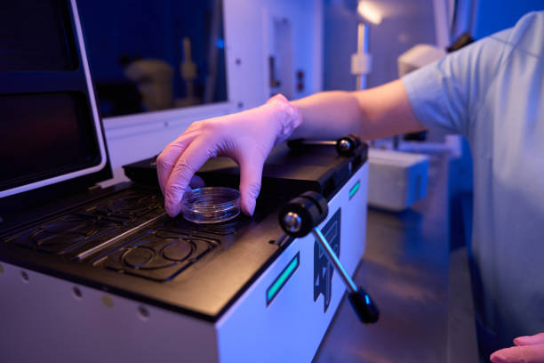 CRM پزشکی و آموزش سئو برای آزمایشگاههای تشخیص طبی در تبریز: متخصص جنینشناسی در آزمایشگاه