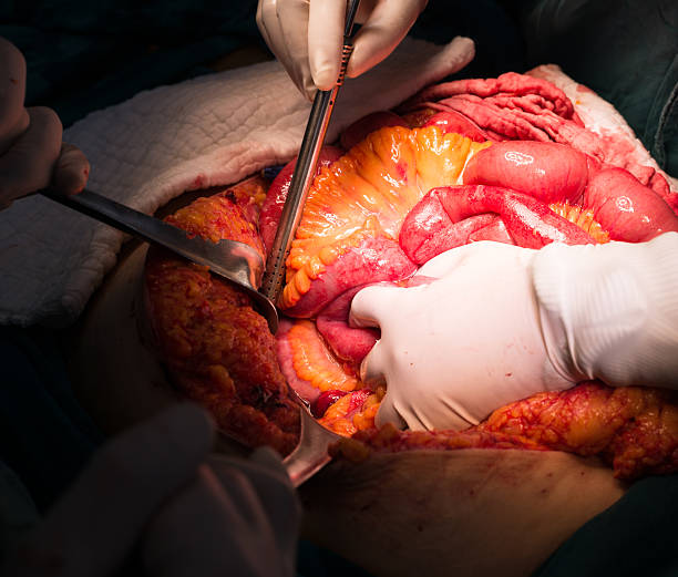 سئو تخصصی پزشکی و برندینگ دیجیتال برای فوق تخصص گوارش و کبد در تهران: افزایش اعتبار وبسایت سلامت ۲۰۲۶ - فوق تخصص گوارش و کبد