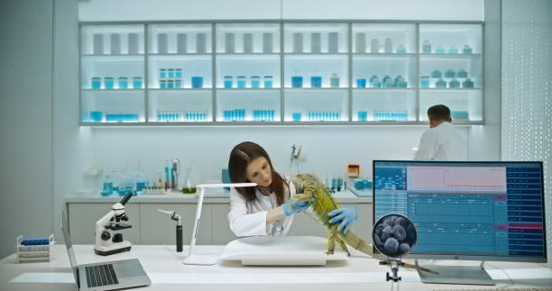 توسعه وب و CRM پزشکی برای آزمایشگاههای تخصصی پاتوبیولوژی در تبریز: بهینهسازی وبسایت سلامت و مدیریت بیماران 2026 - مدیریت بیماران آزمایشگاهی