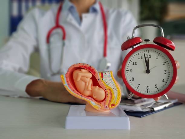 طراحی وبسایت کلینیک IVF در یزد، بهینهسازی تجربه کاربری بیماران