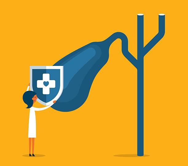 پزشک زن در حال توضیح: تقویت اعتماد بیماران و پشتیبانی وردپرس پزشکی در تهران