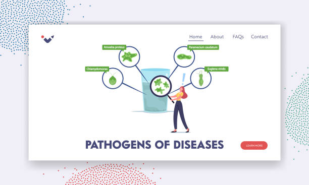 پشتیبانی وبسایتهای درمانی و امنیت سایبری برای آزمایشگاههای تخصصی و پاتوبیولوژی در کرمان: تضمین وبسایت سلامت پایدار 2026 - امنیت اطلاعات آزمایشگاهی