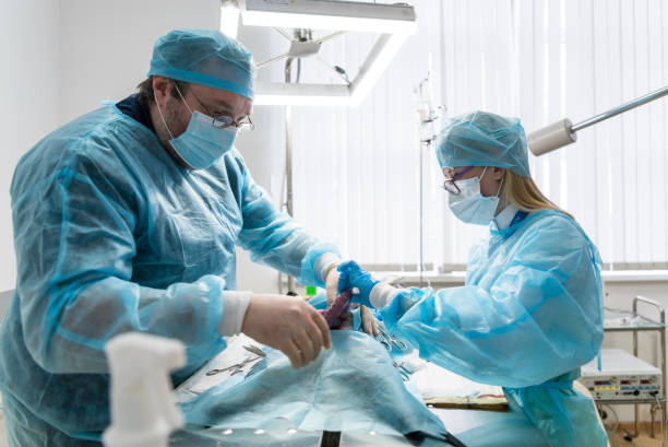 طراحی وبسایت پزشکی و CRM پزشکی: کلینیک جراحی محدود و سیستم نوبتدهی اینترنتی