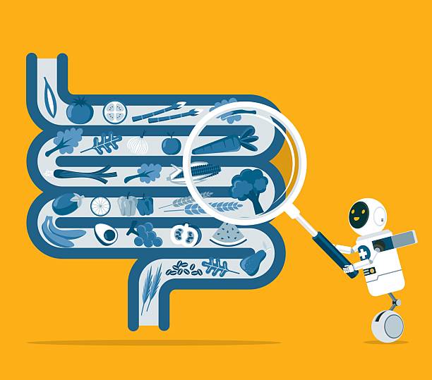 توسعه وب پزشکان و سئو فوق تخصص گوارش برای فوق تخصص گوارش و کبد در رشت: بهینهسازی وبسایت سلامت 2026