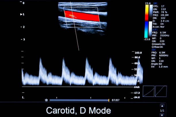 توسعه وب و پیادهسازی CRM پزشکی برای کلینیکهای اینترونشنال کاردیولوژی در مشهد: مدیریت هوشمند بیماران و ارتقاء وبسایت سلامت