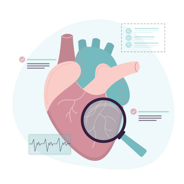 توسعه وب و سئو تخصصی پزشکی برای فوق تخصصان قلب و عروق در مشهد: بهینهسازی وبسایت سلامت 2026 - سئو قلب و عروق