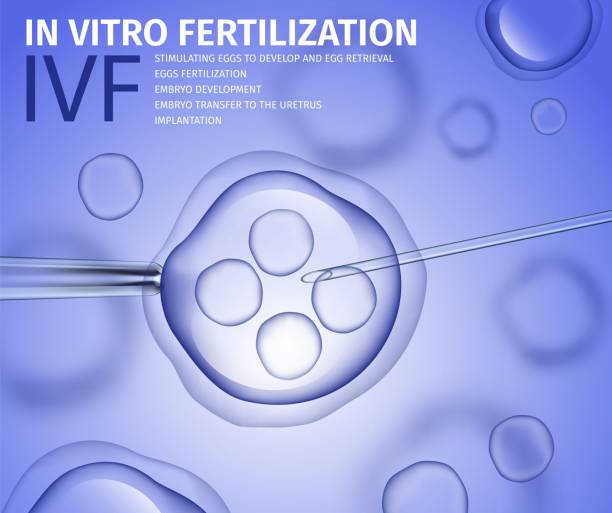 پیادهسازی CRM پزشکی در IVF در تهران - سیستم نوبتدهی آنلاین پزشکی
