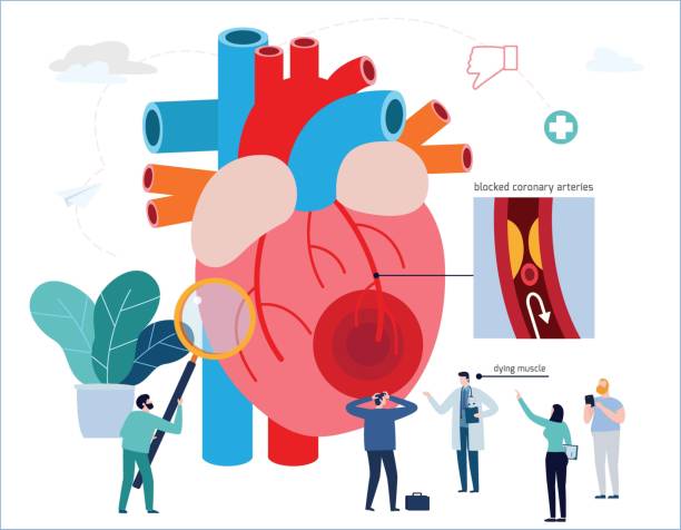 پیادهسازی CRM پزشکی و نوبتدهی آنلاین هوشمند برای کلینیکهای قلب و عروق در تبریز: ارتقاء وبسایت سلامت 2026 - کلینیک قلب و عروق