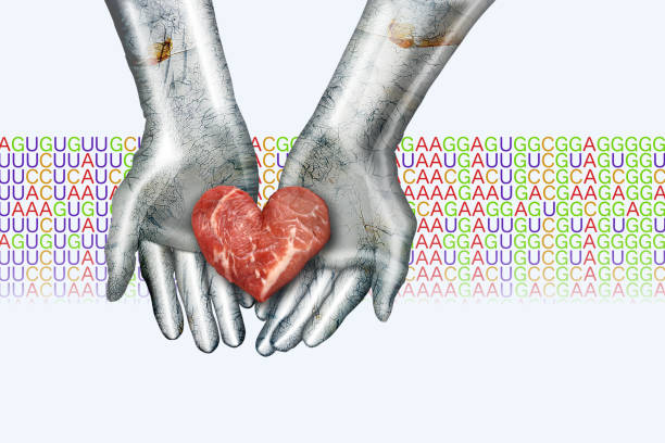 سئو تخصصی پزشکی برای فوق تخصصین قلب و عروق در تبریز: استراتژیهای مشاوره دیجیتال مارکتینگ سلامت 2026 - سئو قلب و عروق