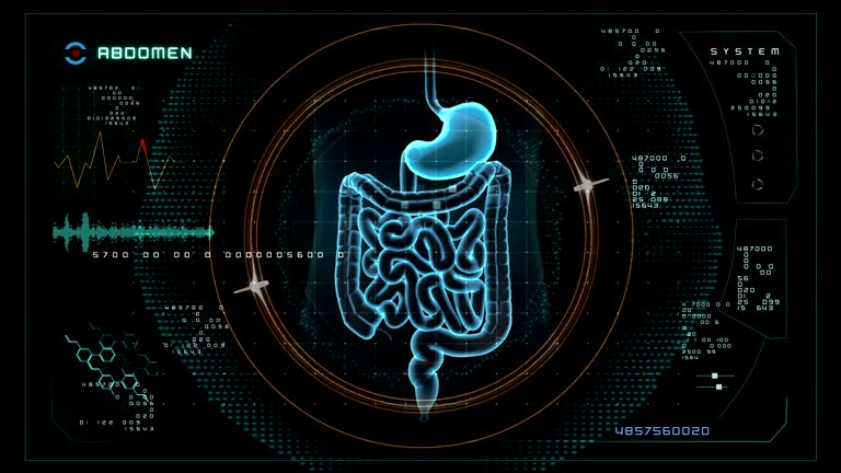 سایت فوق تخصص گوارش و کبد و بهینهسازی نوبتدهی آنلاین 2026 در رشت
