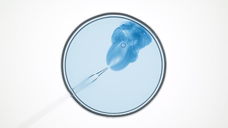 طراحی پرتال نوبتدهی آنلاین برای مراکز ناباروری و IVF در یزد: مراکز ناباروری IVF