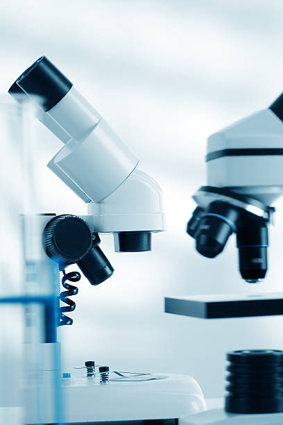 بهینه سازی سایت آزمایشگاه: سئو آزمایشگاه تشخیص طبی و افزایش دیده شدن آزمایشگاه