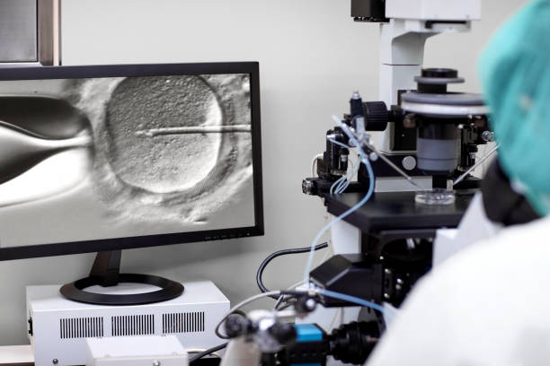 طراحی پرتال نوبتدهی آنلاین و یکپارچهسازی CRM پزشکی برای مراکز ناباروری و IVF در شیراز: تکنیکهای پیشرفته IVF و باروری