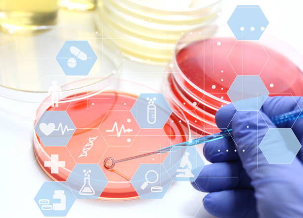 آموزش سئو برای آزمایشگاههای تخصصی پاتوبیولوژی در مشهد: بهینهسازی نوبتدهی آنلاین و یکپارچهسازی CRM پزشکی 2026 - سئو آزمایشگاه پاتوبیولوژی و افزایش مراجعین آزمایشگاه