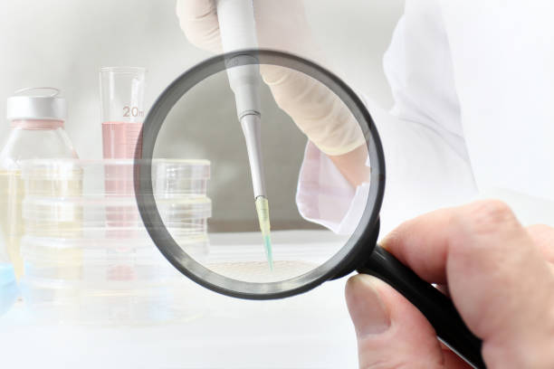 سئوی آزمایشگاه پاتوبیولوژی در اصفهان و بازاریابی آنلاین آزمایشگاه 2025