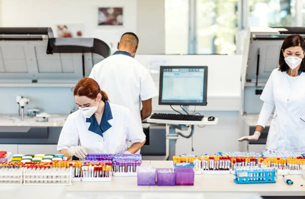 متخصصان آزمایشگاه پاتوبیولوژی تبریز در حال کار با اتوماسیون پزشکی و نرمافزار پاتوبیولوژی