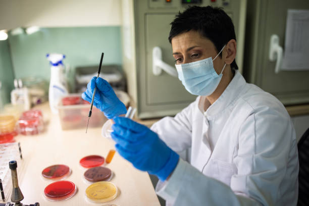 متخصص آزمایشگاه در تبریز با نرمافزار مدیریت آزمایشگاهی کار میکند - نرمافزار مدیریت آزمایشگاهی، پاتوبیولوژیست، طراحی وبسایت