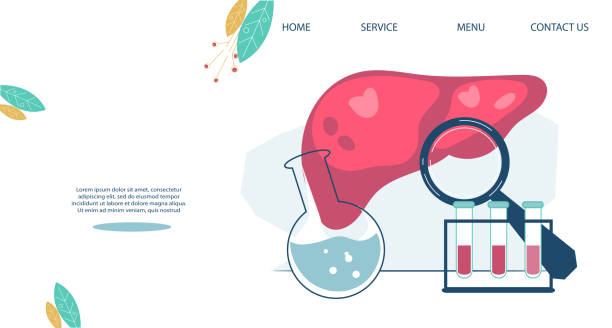 طراحی سایت پزشکی هوشمند برای فوق تخصص گوارش و کبد در اراک: بهبود UX بیماران و نوبتدهی آنلاین 2026 - طراحی وبسایت متخصص کبد و نوبت دهی آنلاین پزشکان