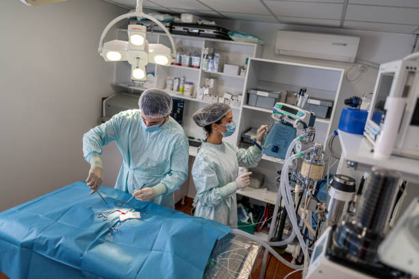 مراکز جراحی محدود در مشهد: بهینهسازی نوبتدهی آنلاین پزشکی و بهبود UX بیماران از طریق طراحی سایت پزشکی هوشمند