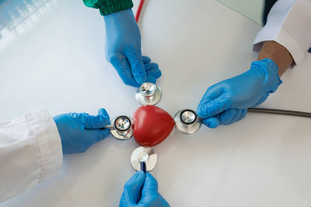 تیم پزشکی در حال بررسی مدل قلب با گوشی پزشکی، نمادی از مراقبت در کلینیک قلب و عروق رشت