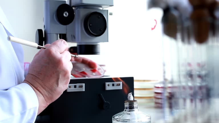 مشاوره دیجیتال مارکتینگ سلامت و آموزش سئو برای آزمایشگاههای تشخیص طبی در تهران: افزایش دیده شدن آنلاین و تحقیق پزشکی