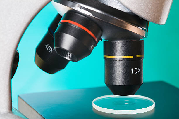 سئو تخصصی پزشکی و توسعه وب برای آزمایشگاههای پاتوبیولوژی در تهران: افزایش دیده شدن آنلاین و جذب مراجعین 2026 - سئو آزمایشگاه پاتوبیولوژی و جذب بیماران