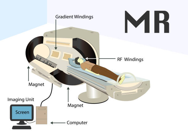 پشتیبانی وبسایتهای درمانی مراکز MRI و CT Scan در رشت: اینفوگرافیک MRI، نگهداری وبسایت MRI