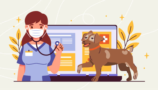 برندینگ دیجیتال دامپزشکی و خدمات آنلاین برای بیمارستان دامپزشکی در ارومیه - جذب مراجعین دامپزشکی