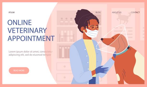 رزرو آنلاین دامپزشکی و نقش طراحی سایت در جذب مراجعین تبریز